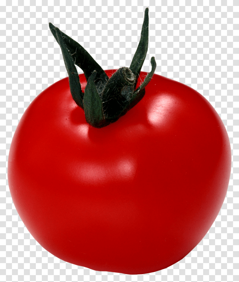 Tomato, Vegetable, Plant, Food, Bird Transparent Png