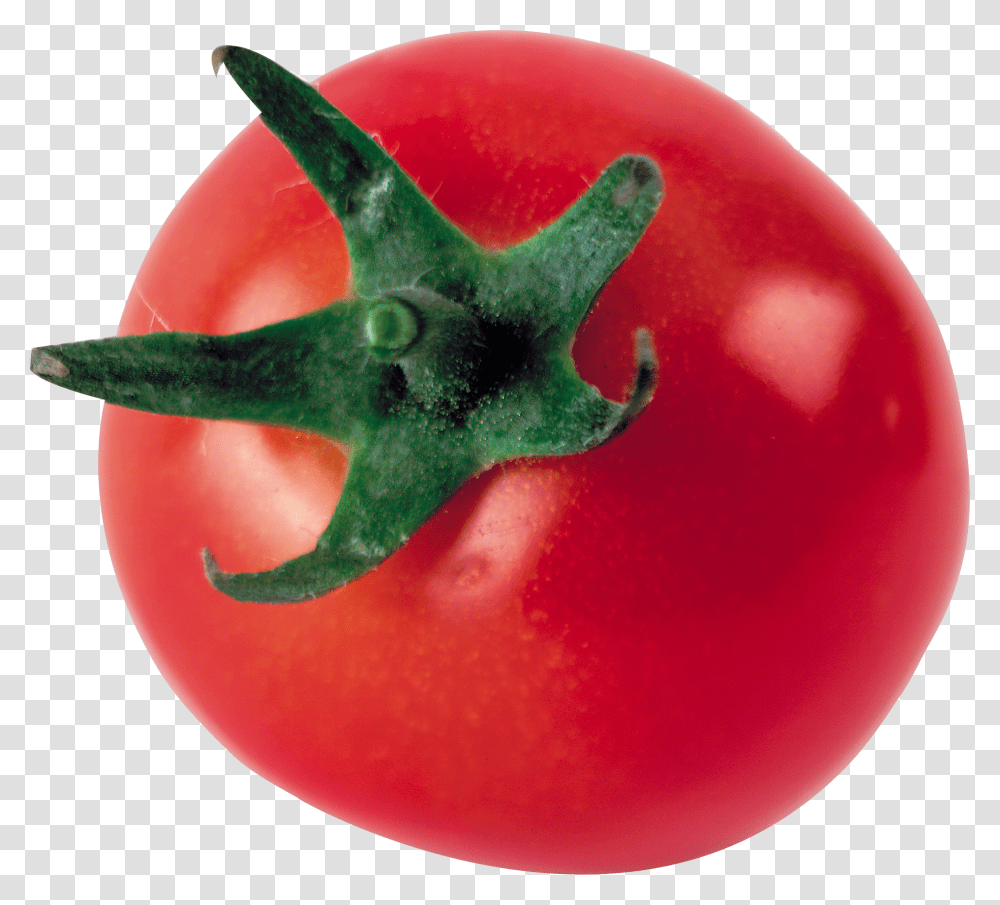 Tomato, Vegetable, Plant, Food, Fish Transparent Png