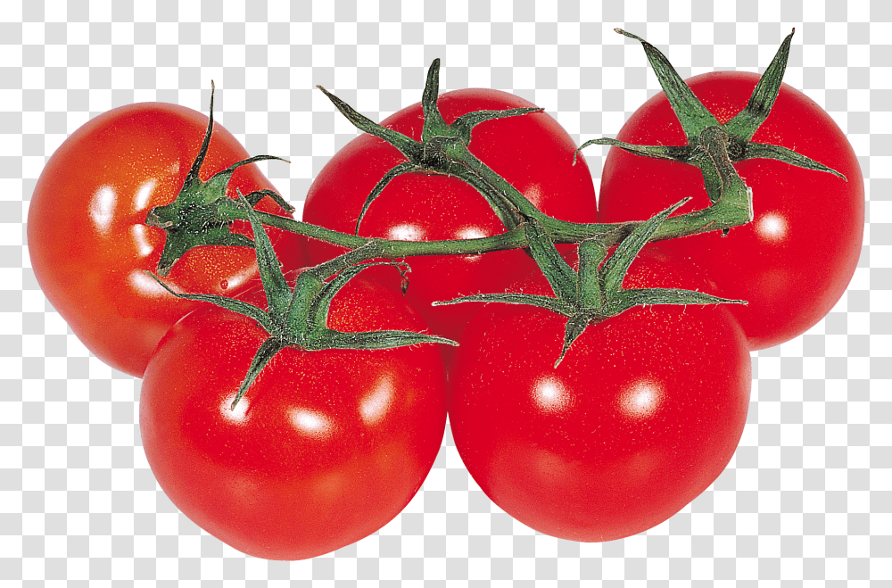 Tomato, Vegetable, Plant, Food, Lobster Transparent Png
