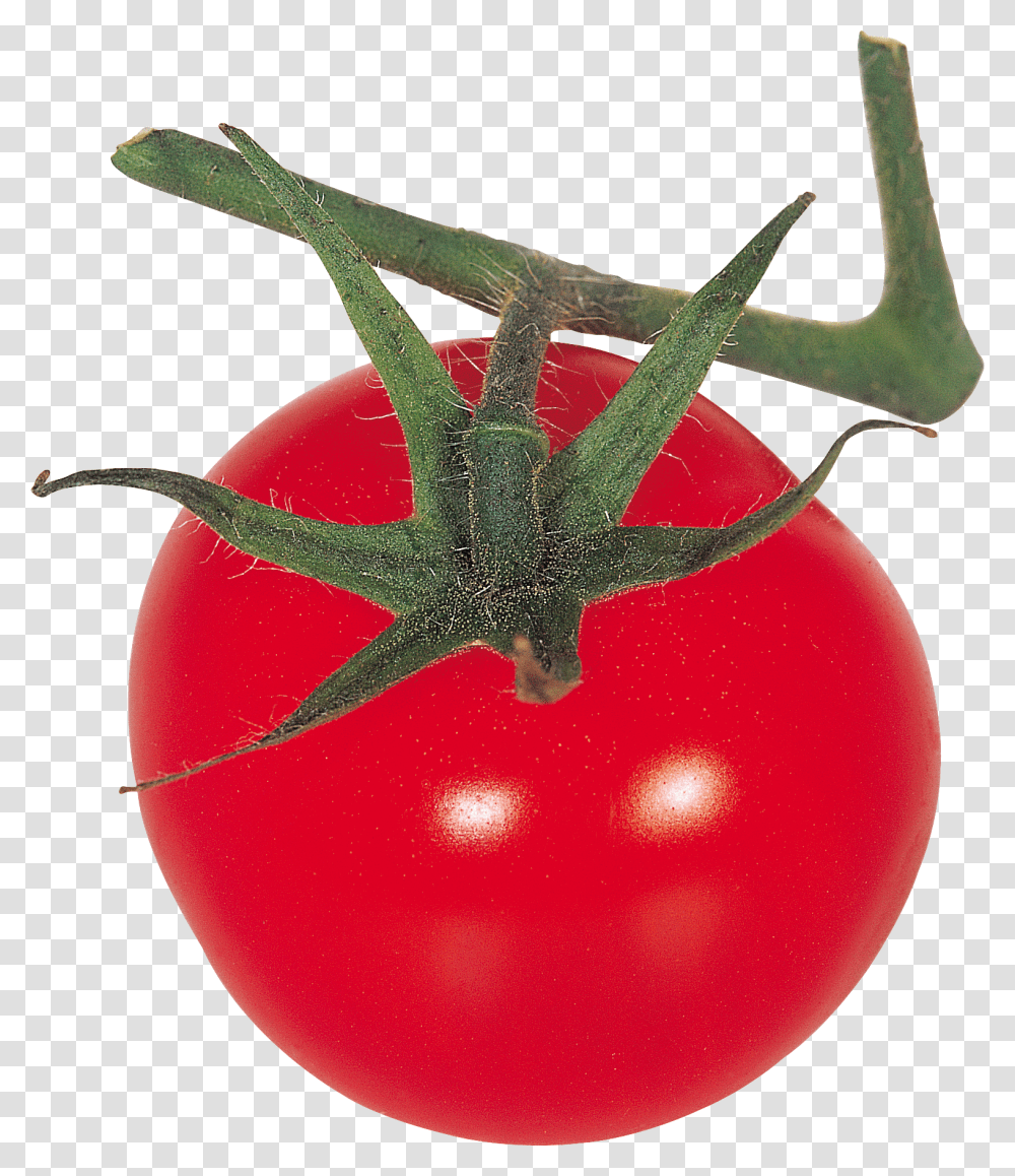 Tomato, Vegetable, Plant, Food, Lobster Transparent Png