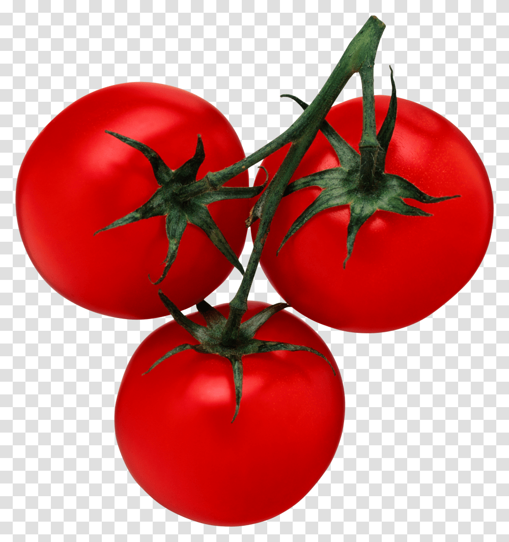 Tomato, Vegetable, Plant, Food Transparent Png