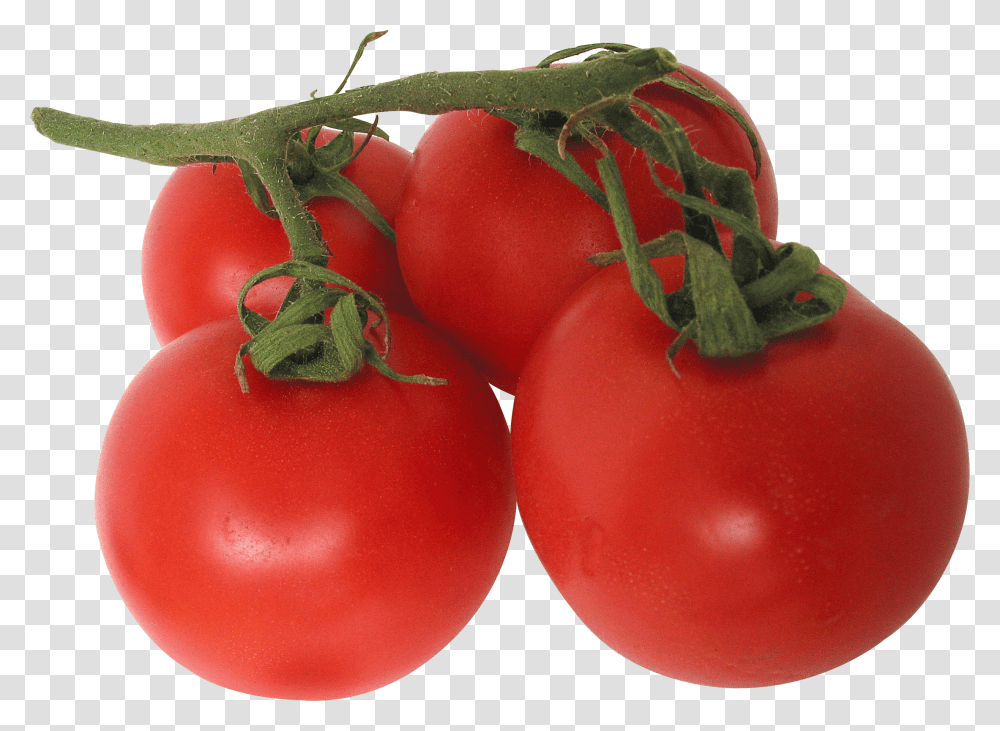 Tomato, Vegetable, Plant, Food Transparent Png