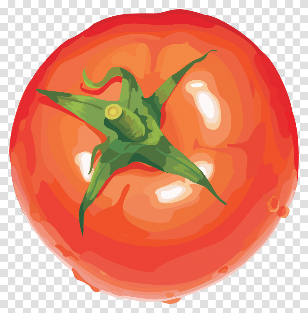 Tomato, Vegetable, Plant, Food Transparent Png