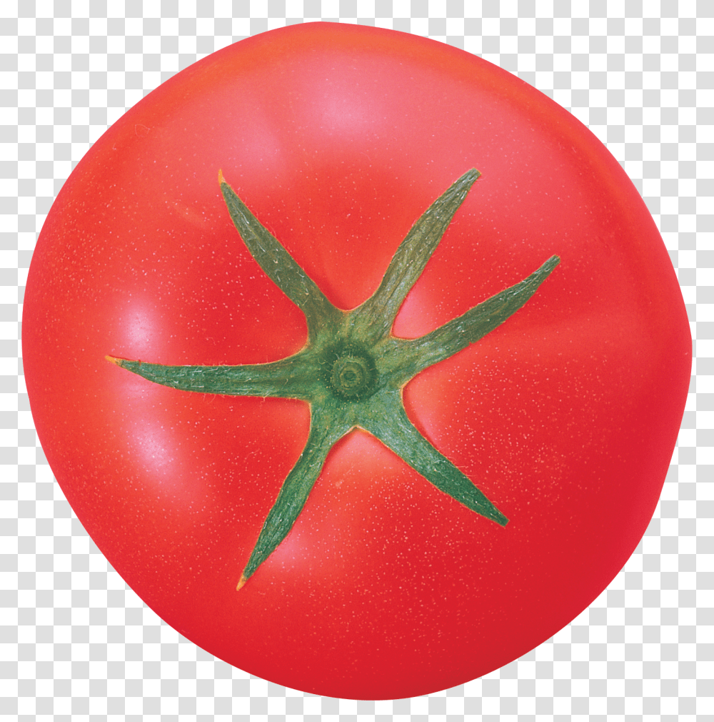 Tomato, Vegetable, Plant, Food Transparent Png