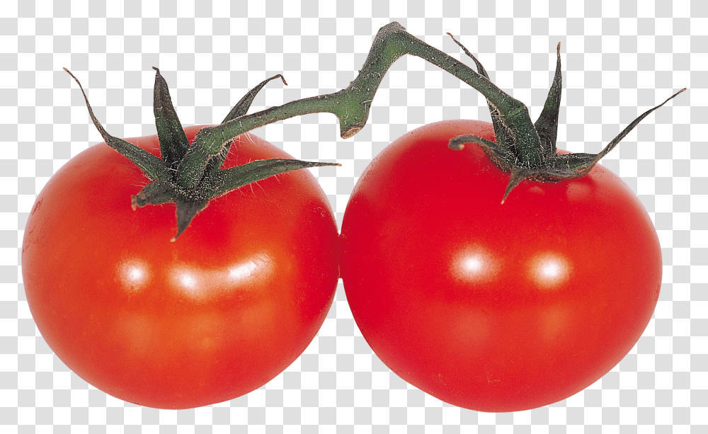 Tomato, Vegetable, Plant, Food Transparent Png