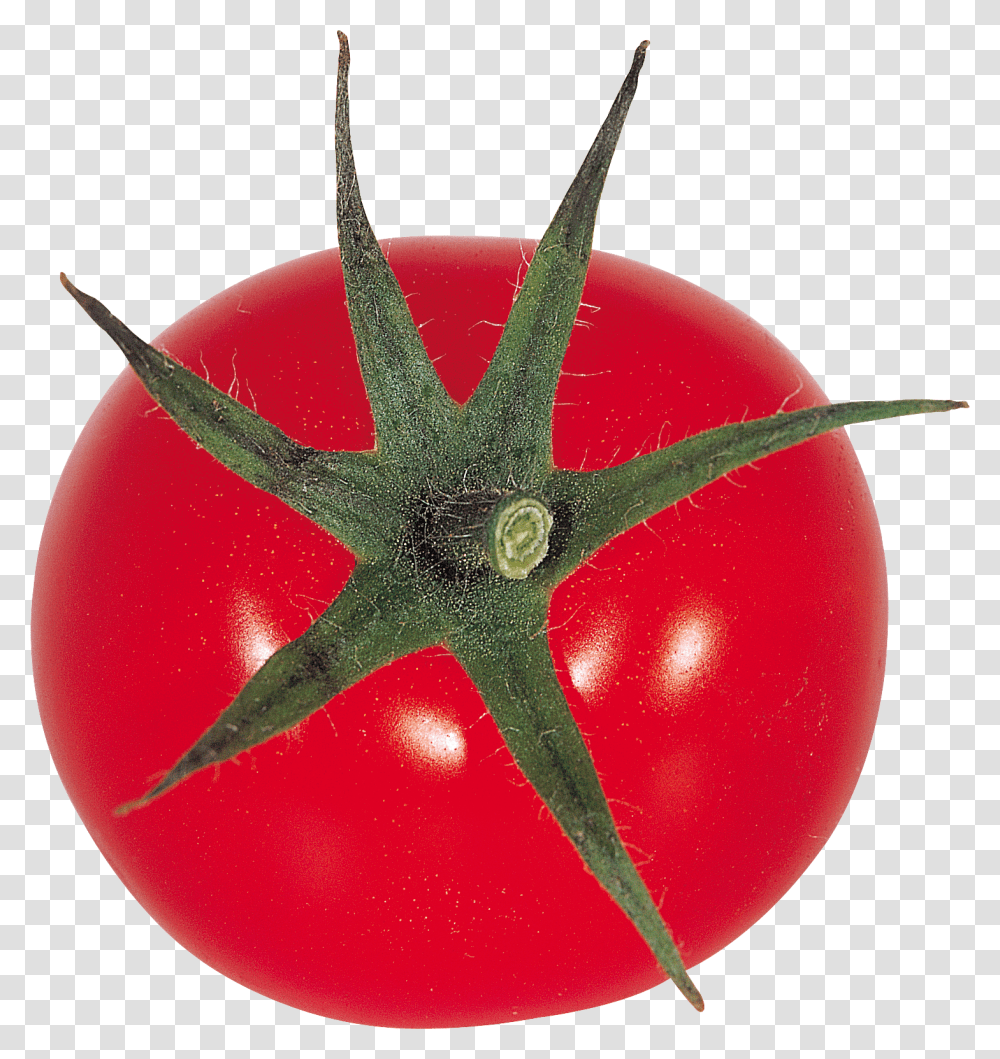 Tomato, Vegetable, Plant, Food Transparent Png