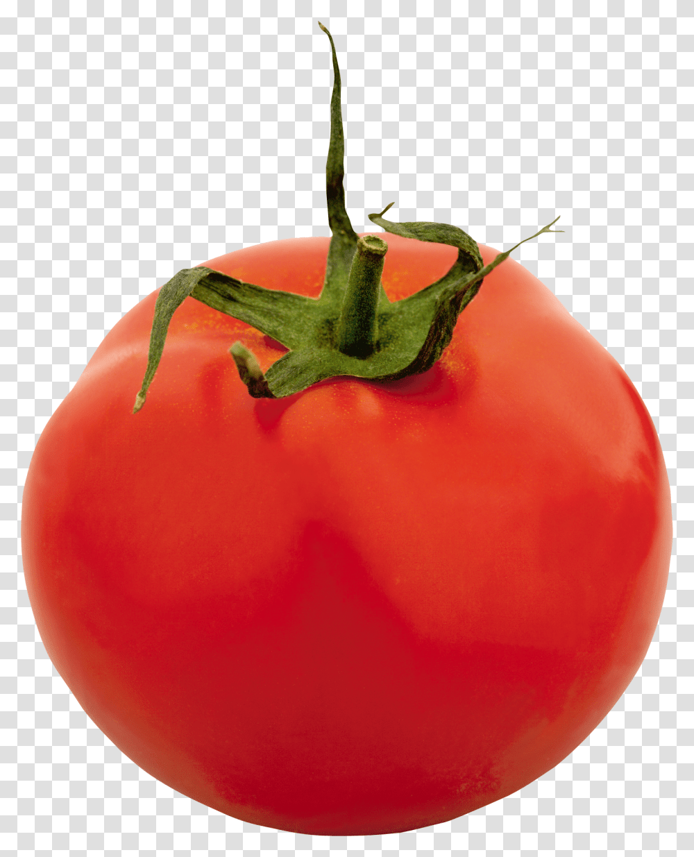 Tomato, Vegetable, Plant, Food Transparent Png