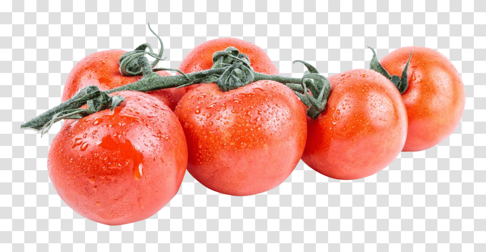 Tomato, Vegetable, Plant, Lobster, Seafood Transparent Png