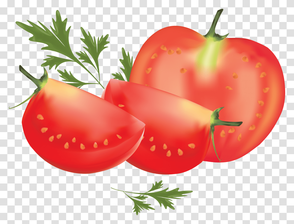 Tomato, Vegetable, Plant, Vase, Jar Transparent Png