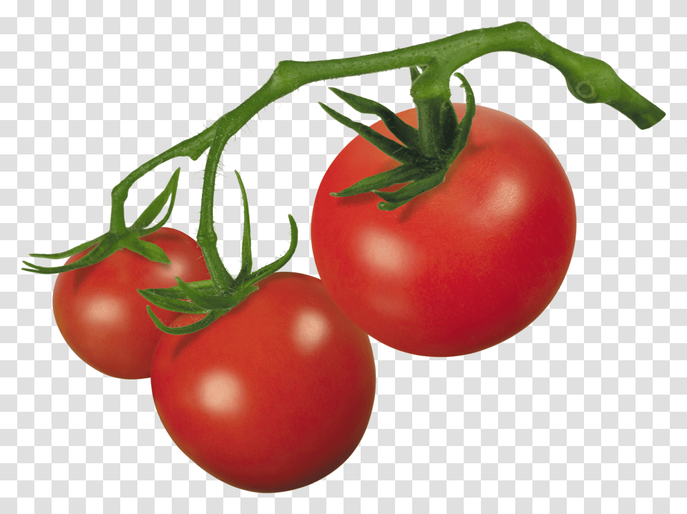 Tomato, Vegetable Transparent Png