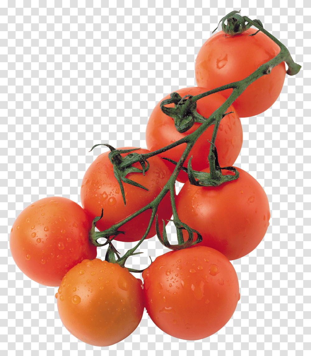 Tomato, Vegetable Transparent Png