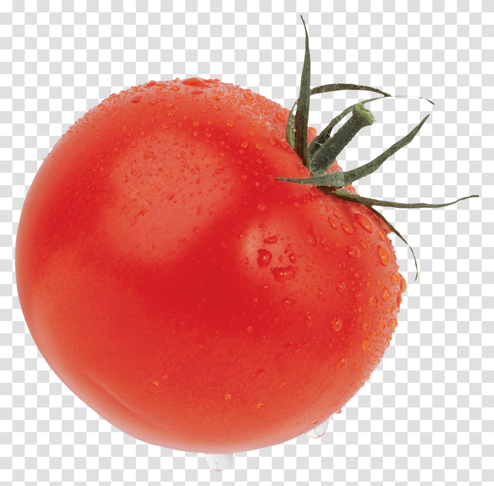 Tomato, Vegetable Transparent Png