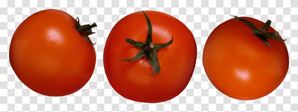 Tomato Web Icons 3 Tomatoes, Plant, Food, Vegetable, Produce Transparent Png