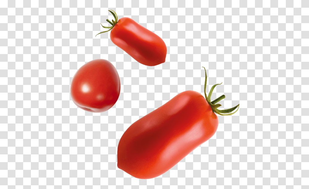 Tomatoe, Plant, Vegetable, Food, Pepper Transparent Png