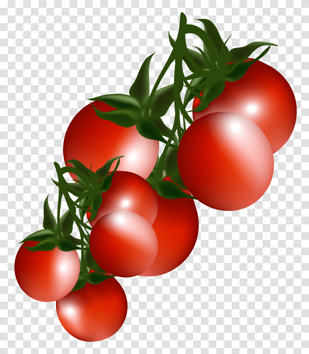 Tomatoes Branch Clipart, Plant, Fruit, Food, Cherry Transparent Png
