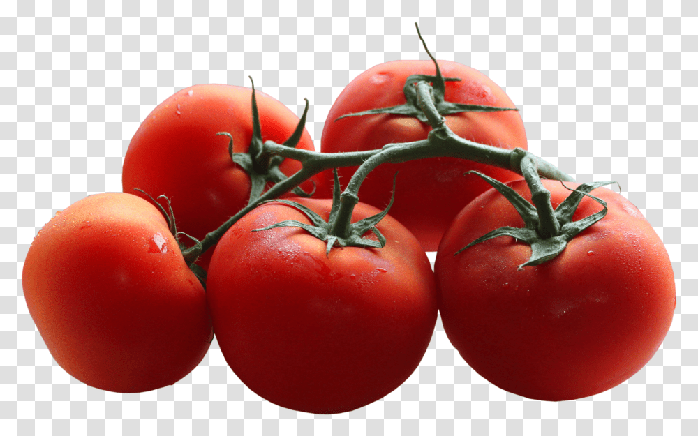 Tomatoes Branch Picture Tomato Background, Plant, Food, Vegetable, Fruit Transparent Png