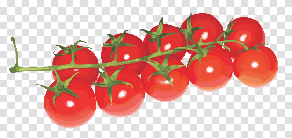 Tomatoes Cherry, Plant, Food, Fruit, Dynamite Transparent Png