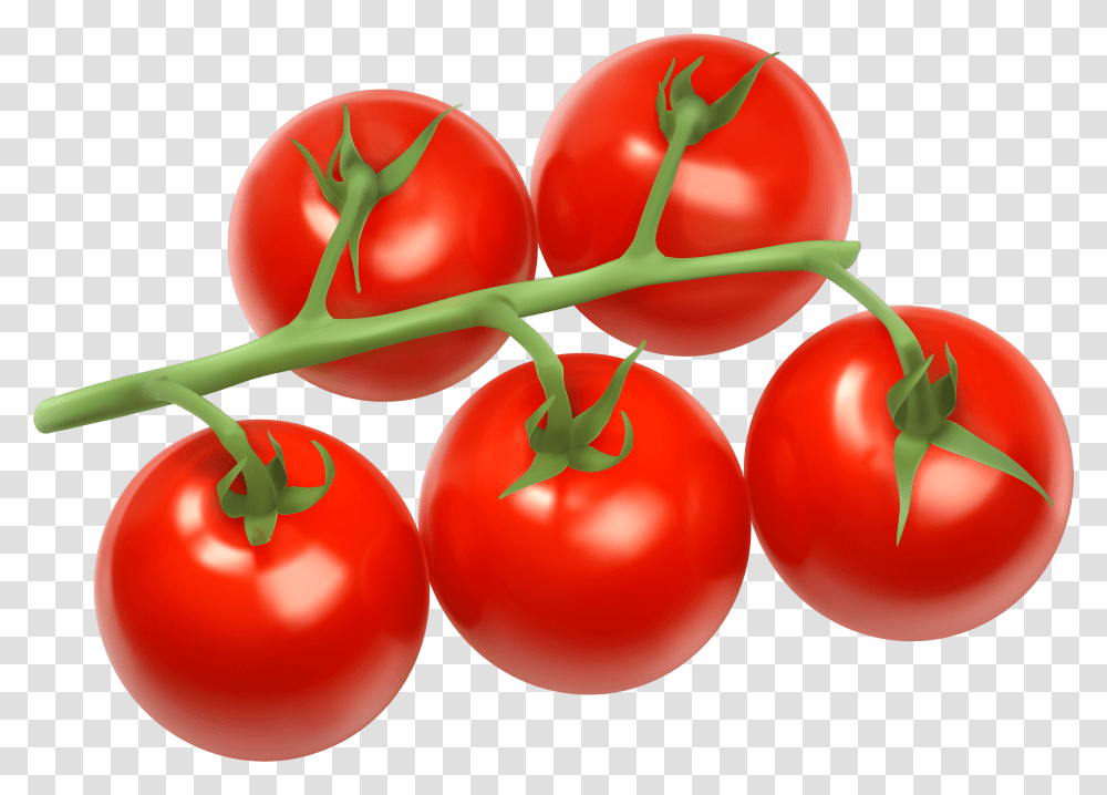 Tomatoes Clipart, Plant, Fruit, Food, Cherry Transparent Png