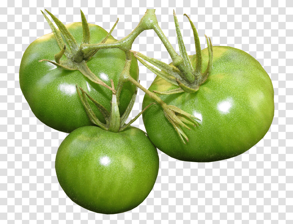 Tomatoes Green Food Vegetables Organic Planta De Tomate Verde, Fruit, Pineapple, Cherry Transparent Png