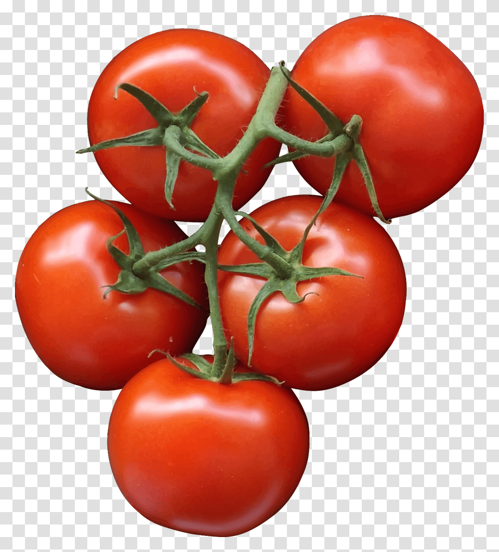 Tomatoes Icons, Plant, Vegetable, Food Transparent Png