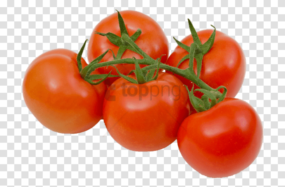 Tomatoes On The Vine, Plant, Vegetable, Food, Orange Transparent Png