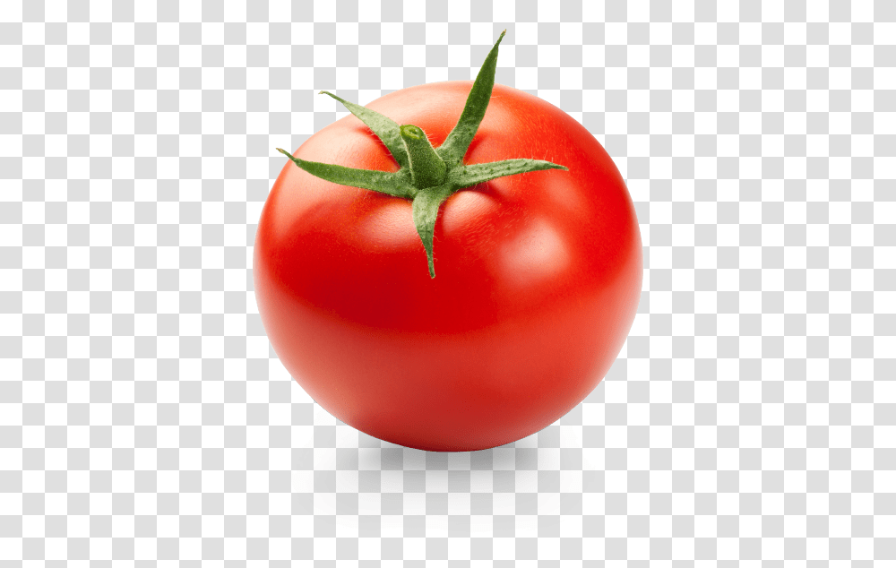 Tomatoes Red Tomato, Plant, Vegetable, Food Transparent Png