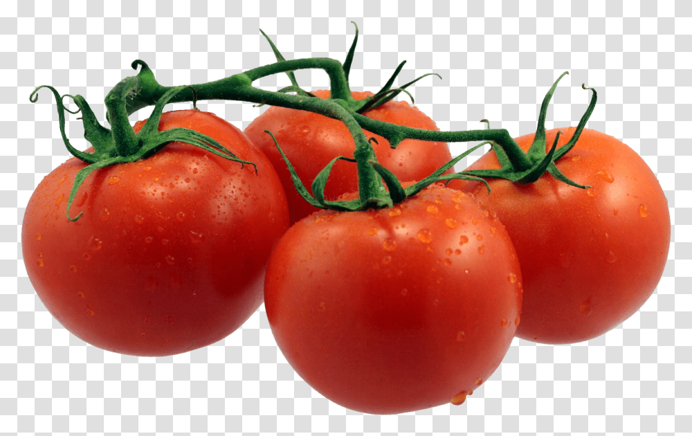 Tomatoes Single Fruits And Vegetables, Plant, Food, Apple Transparent Png