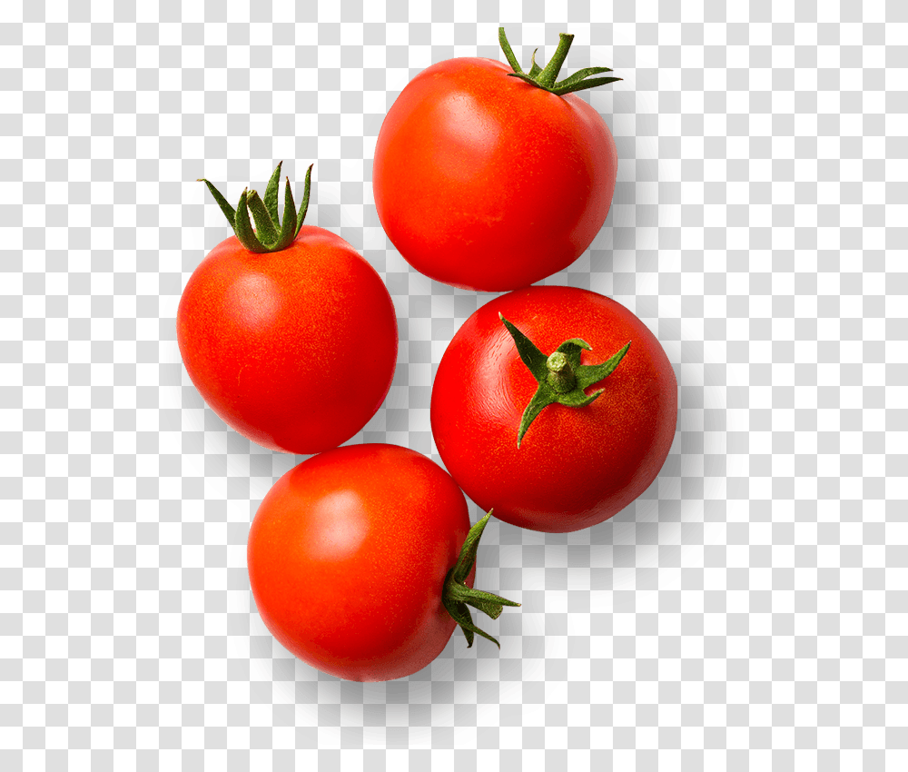 Tomatoes Tomato Clipart Black And White, Plant, Vegetable, Food, Produce Transparent Png