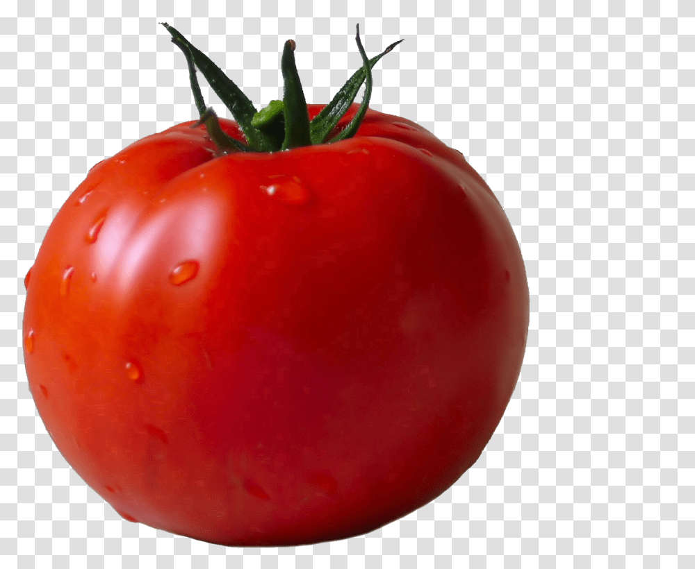 Tomatoes Tomato With Background, Plant, Vegetable, Food, Apple Transparent Png