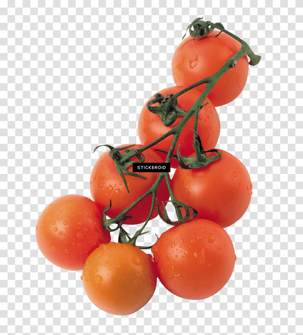 Tomatoes Transparent Png