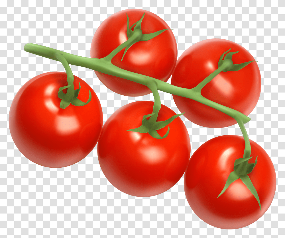 Tomatoes Vector Clipart Image Transparent Png