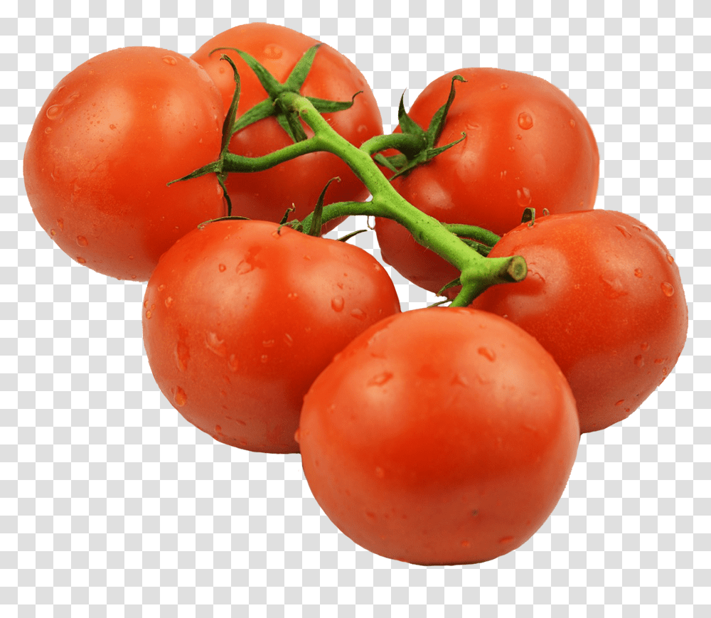 Tomatos On Stem Tomato, Plant, Food, Vegetable, Fruit Transparent Png