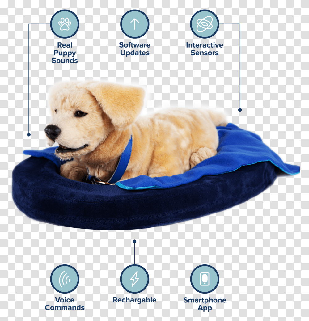Tombot Tombot Jennie, Cushion, Dog, Pet, Canine Transparent Png