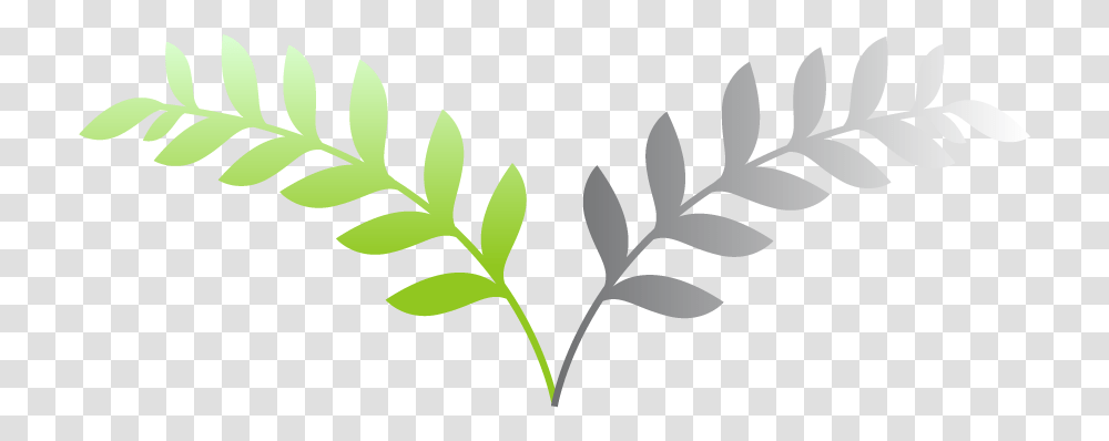 Tombstone Clipart Pass Away Gambel Oak, Leaf, Plant, Green, Flower Transparent Png