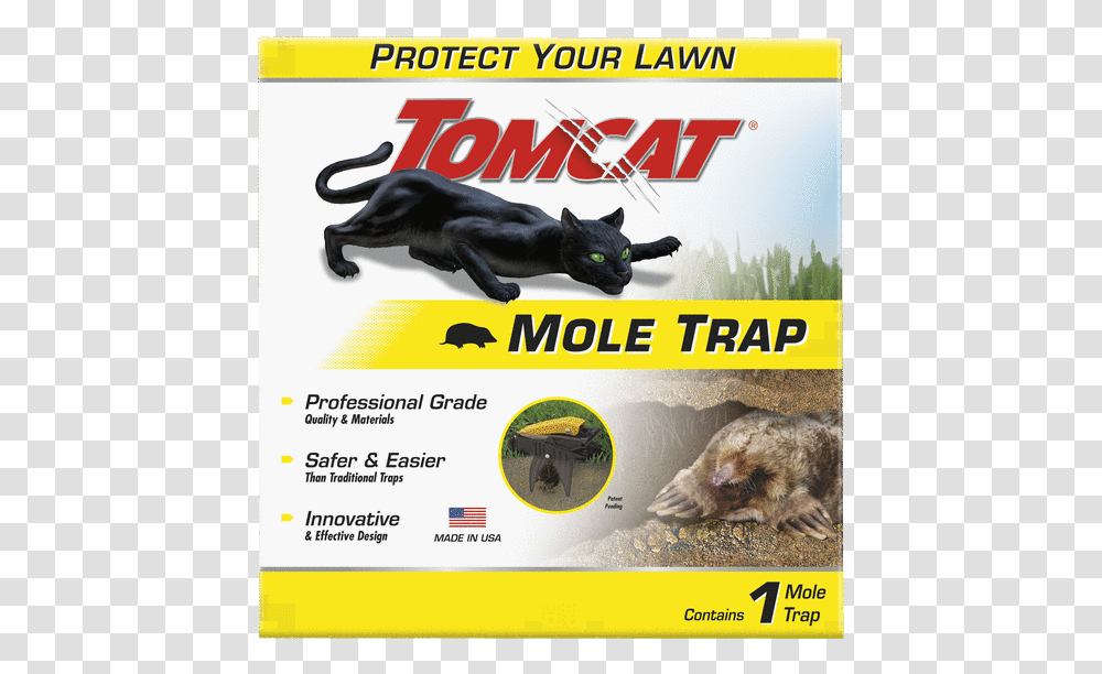 Tomcat Mouse Killer, Advertisement, Poster, Flyer, Paper Transparent Png