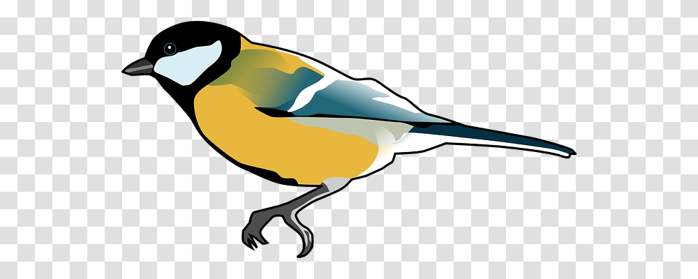 Tomtit Animals, Bird, Waterfowl, Shark Transparent Png