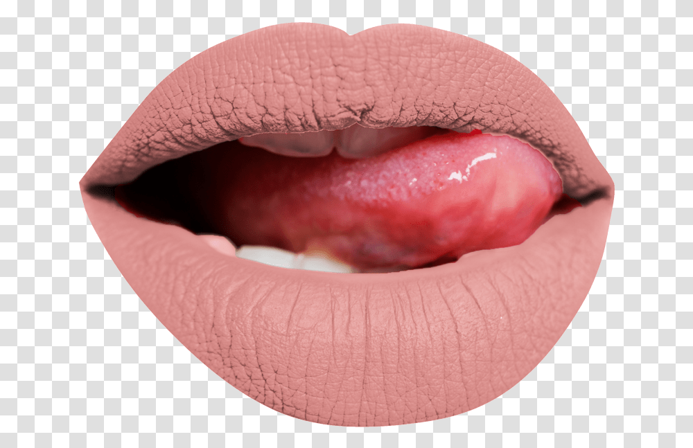 Tongue, Mouth, Lip, Teeth, Person Transparent Png