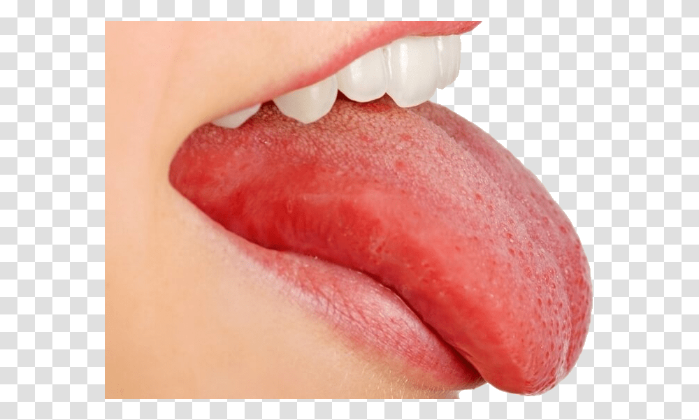 Tongue, Person, Mouth, Lip, Human Transparent Png