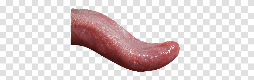 Tongue, Person, Mouth, Lip, Ketchup Transparent Png