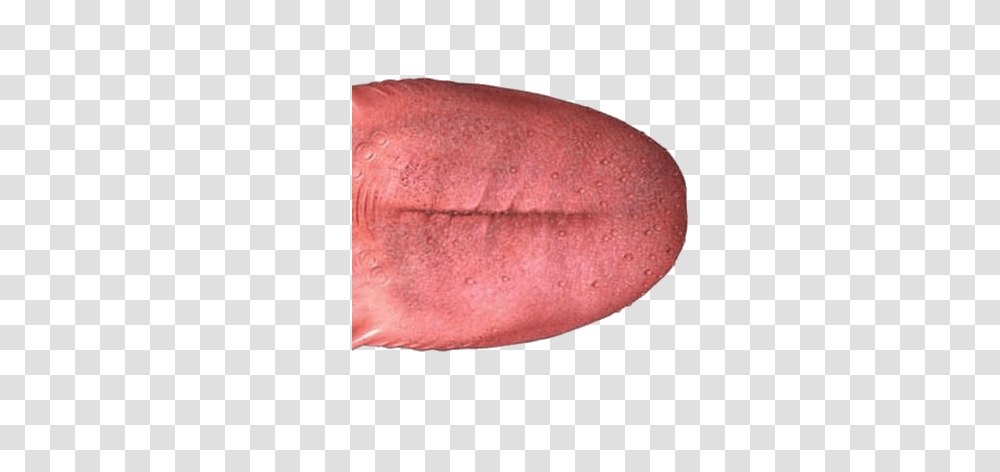 Tongue, Person, Mouth, Lip, Moon Transparent Png