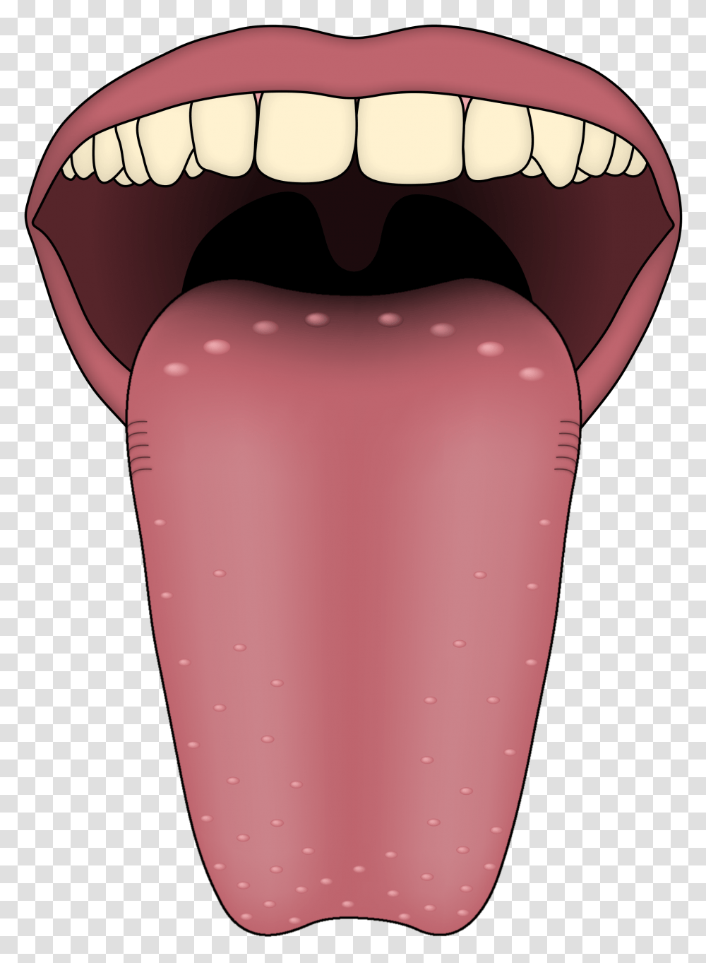 Tongue, Person, Mouth, Lip, Teeth Transparent Png