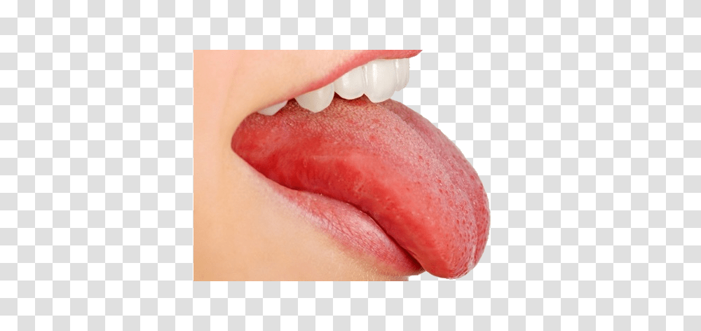 Tongue, Person, Mouth, Lip, Teeth Transparent Png