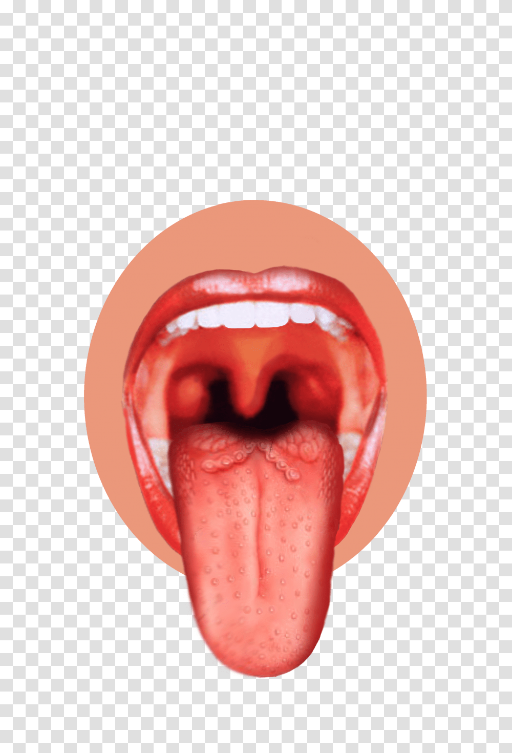 Tongue, Person, Mouth, Lip Transparent Png