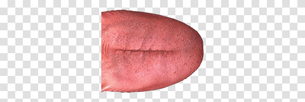 Tongue Tongue, Mouth, Lip, Rug, Sweet Potato Transparent Png