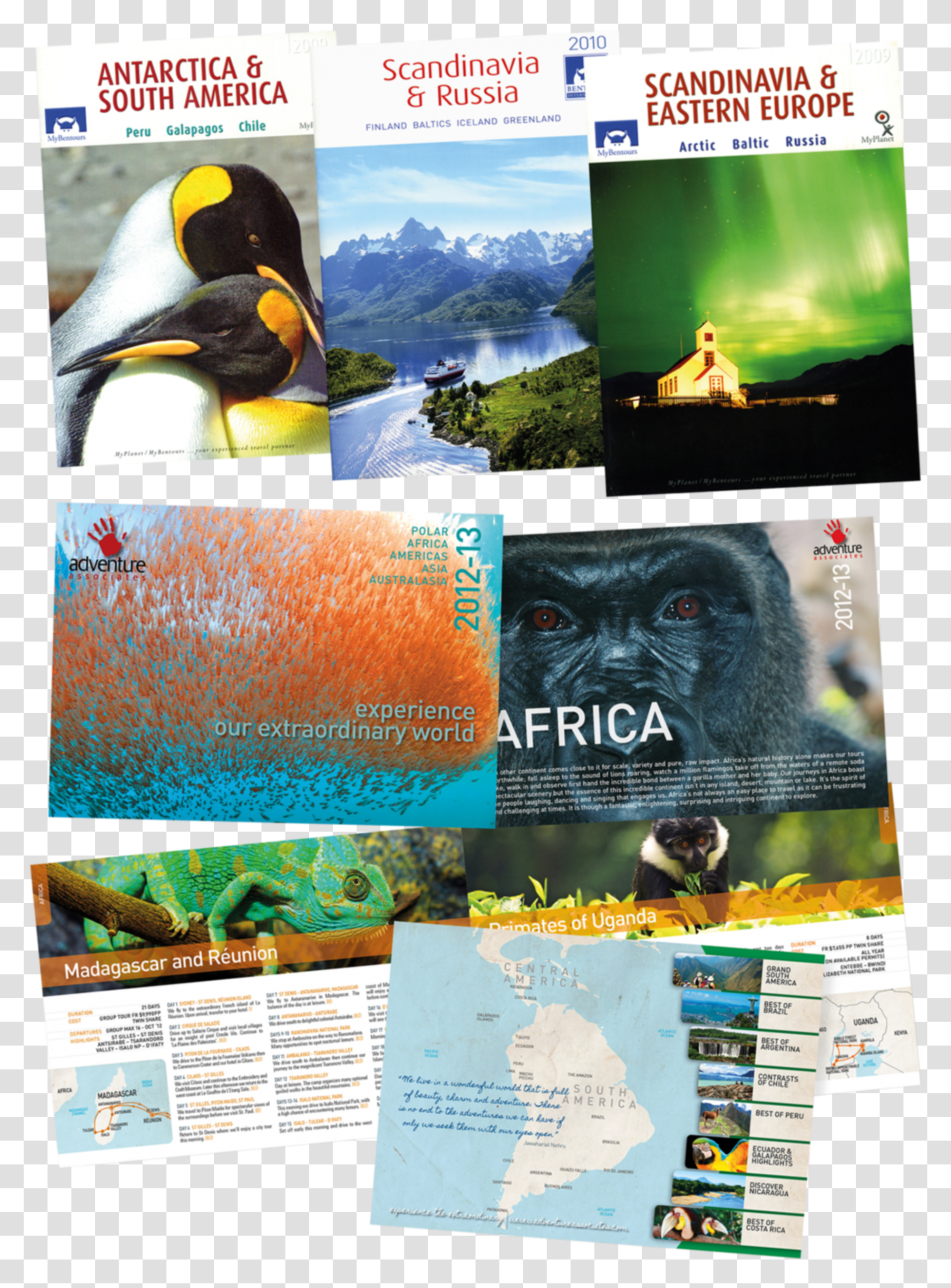 Tony Gordon Printcounsel Brochures Bentours Adventure Flyer, Poster, Advertisement, Collage, Bird Transparent Png