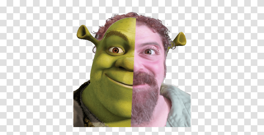 Tonyshrek Shrek Face T Shirt, Person, Head, Beard, Sweets Transparent Png