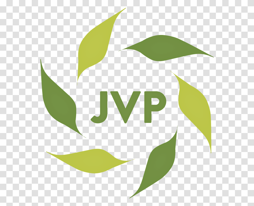 Toolkit Jewish Voice For Peace, Plant, Leaf, Green, Potted Plant Transparent Png