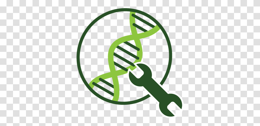 Tools And Techniques Of Gene Manipulation Genetic Tools, Symbol, Hand, Key, Dynamite Transparent Png