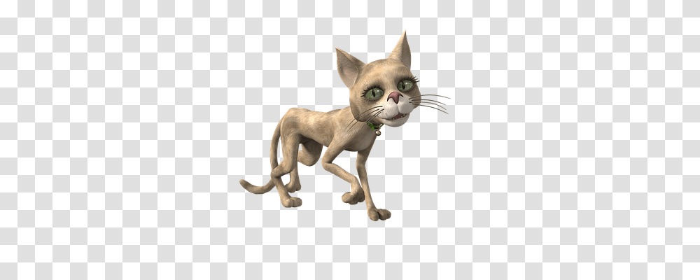 Toon Animals, Cat, Pet, Mammal Transparent Png