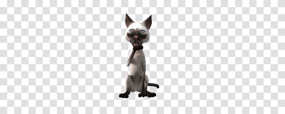 Toon Pet, Animal, Cat, Mammal Transparent Png